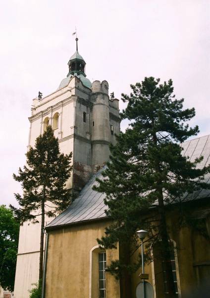 Koci grniczy