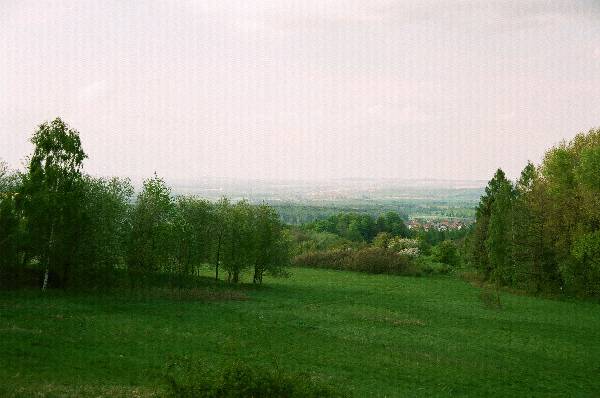 Zoty Stok