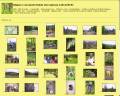 Galeria zdj