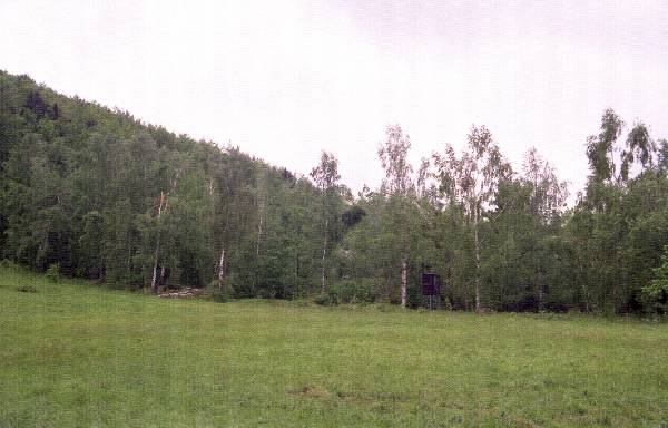 2011_1750_21_kgn.jpg