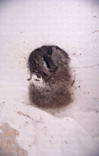 2011_1750_28.jpg