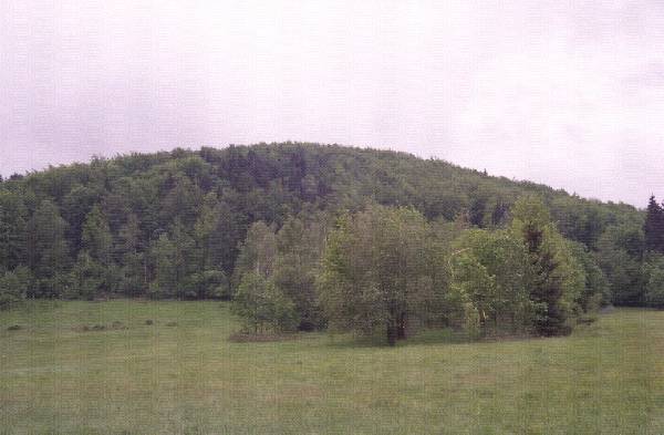 2011_1750_31_kgn.jpg