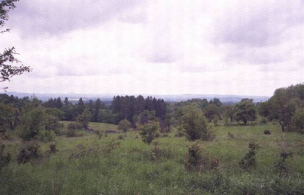 2011_1750_33_kgn.jpg