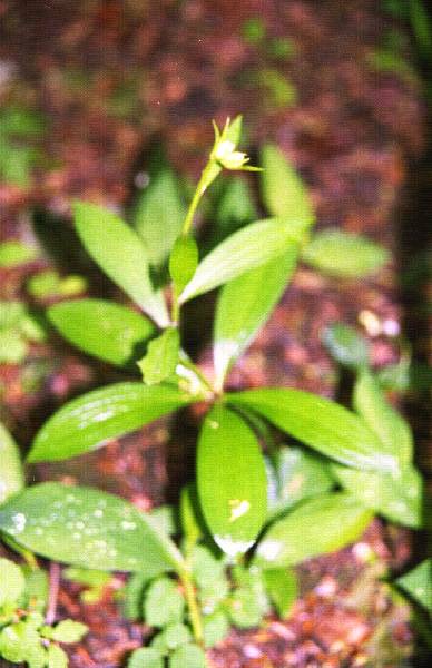 2011_1751_19_ckgn.jpg