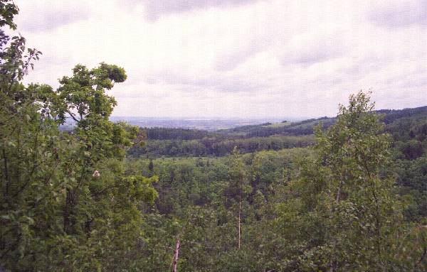 2011_1751_22_ckgn.jpg