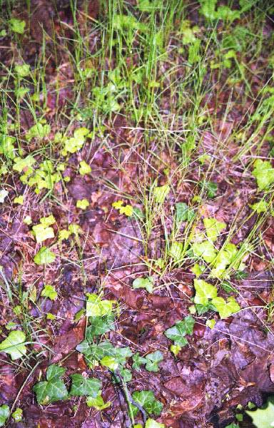 2011_1751_24_kgn.jpg