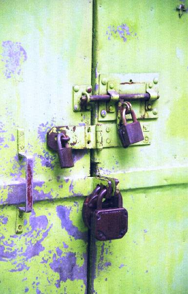 2011_1751_26_ckgn.jpg