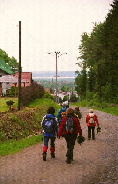 2011_1752_26_ckgn.jpg