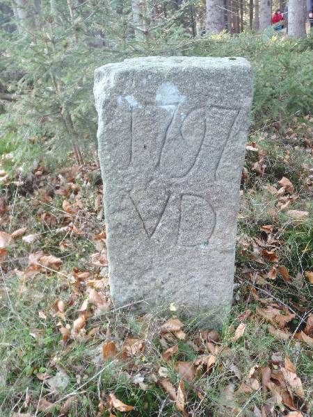 WJ_295.jpg