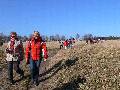 Laswka - 