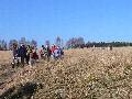 Laswka - 
