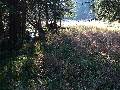 Mokra ka - 