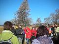 Laswka - teren dawnej huty - 