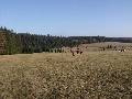 Mostowy Potok - Krzemionka - 