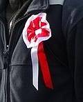 Przykadowy kotylion