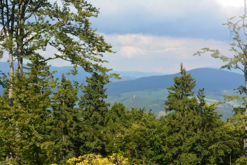 Wiea widokowa na Krzyowej Grze (widok z Bukowej Gry)