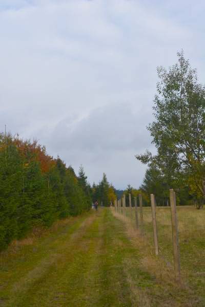 JZ_20151018_20045_kgn.jpg