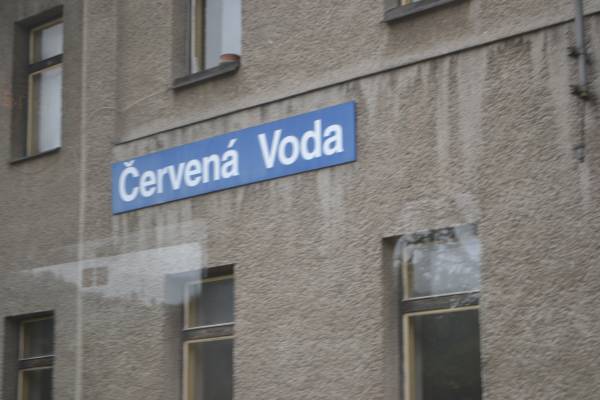 Nika_213.jpg