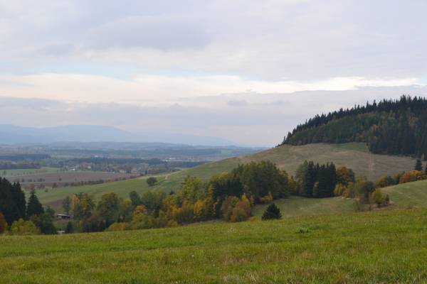 Nika_259.jpg