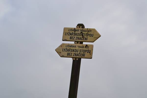 Nika_260.jpg