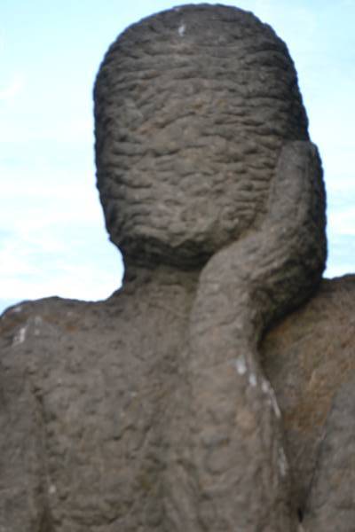 Nika_346.jpg