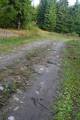 Kiov hora -  rdo Cichej Orlicy - Zakrty gwnie w prawo wic tu skrcamy w lewo