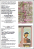 Ciechocinek - ulotka (PDF, 373 KB)