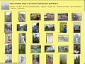 Galeria zdj rnych autorw