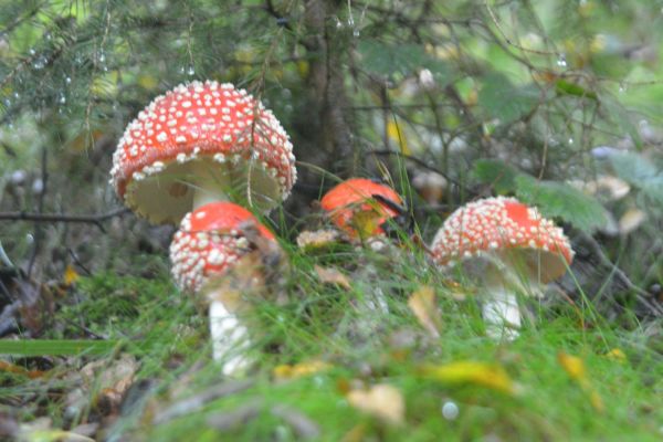 JZ_20170924_42407.jpg