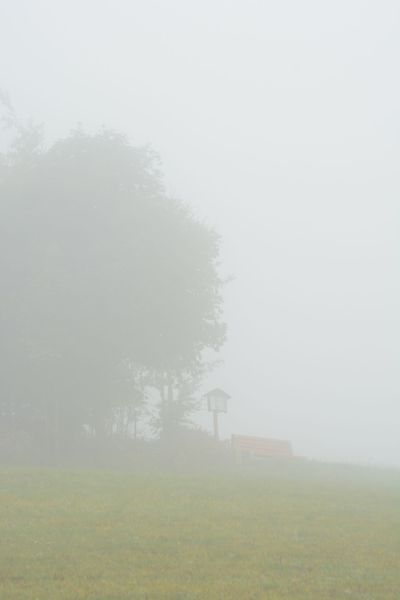JZ_20170924_42415.jpg