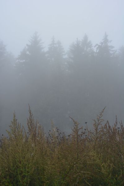 JZ_20170924_42446.jpg