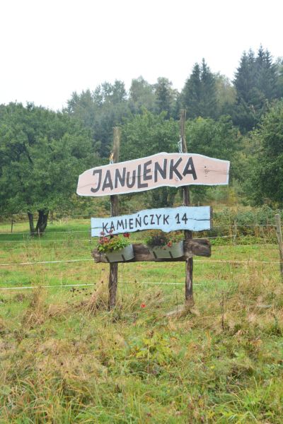 JZ_20170924_42497.jpg