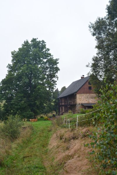 JZ_20170924_42511.jpg