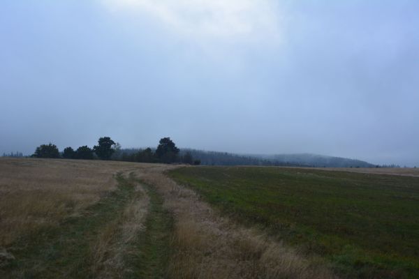 JZ_20170924_42531.jpg