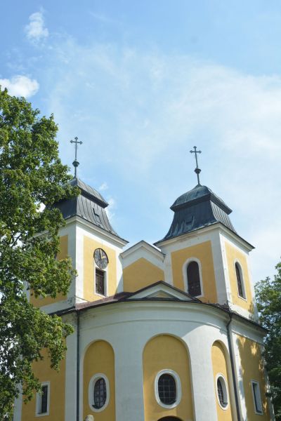 Koci uywany regularnie