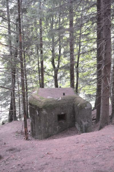Rzopik